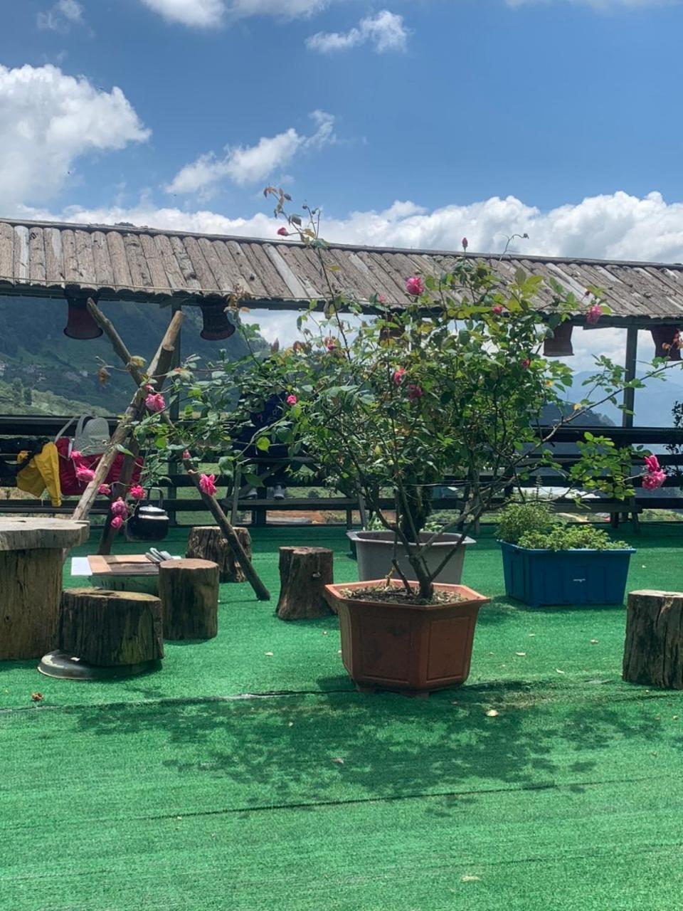 Ha Lu Homestay Lao Cai Eksteriør billede